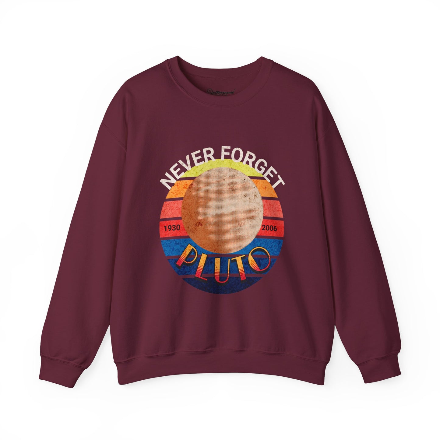 Pluto Astronomy Lovers Sweatshirt